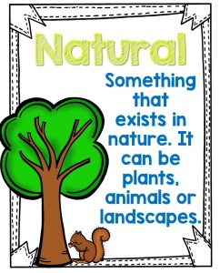 Natural vs. Man-Made for Little Learners {Freebie}